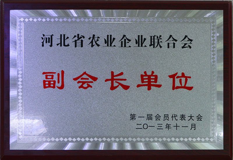 副會(huì)長(zhǎng)單位